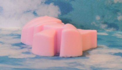 Dinosaur Soap (#2) 2ct 4oz