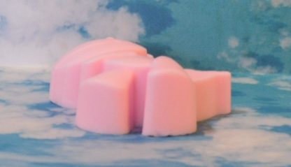 Dinosaur Soap (#2) 2ct 4oz